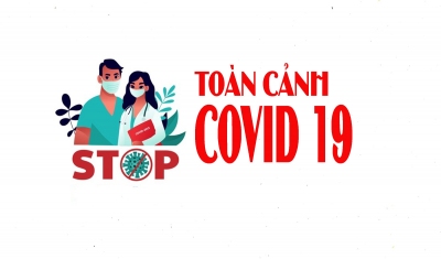 TOÀN CẢNH COVID - 19