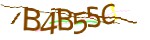 Mã bảo mật