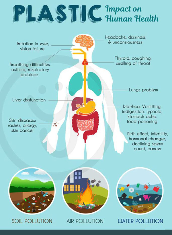H 2 bis Nhựa tác động xấu đến sức khỏe con người