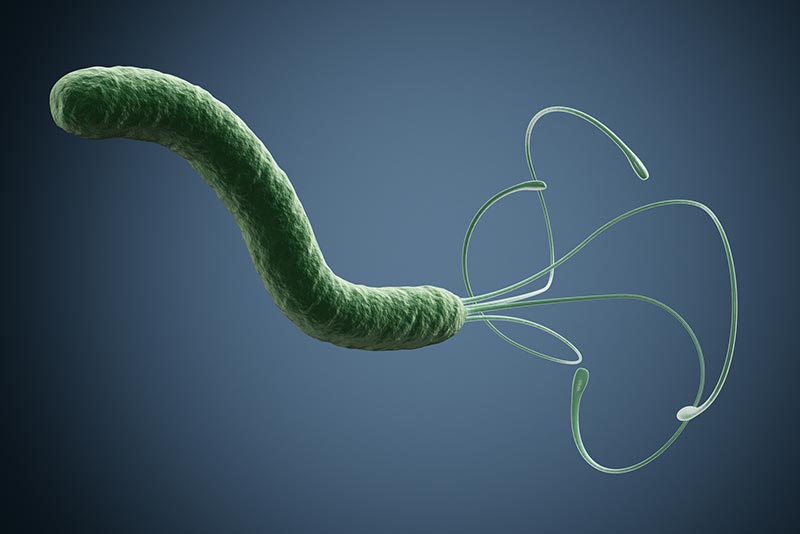 Vi khuẩn Helicobacter pylori (HP)