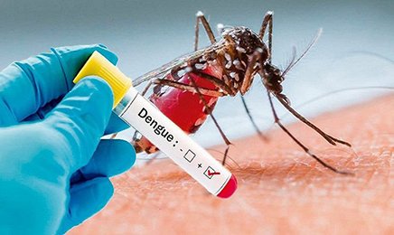 Có gì khác biệt giữa triệu chứng của sốt xuất huyết và bệnh cúm thông thường?
