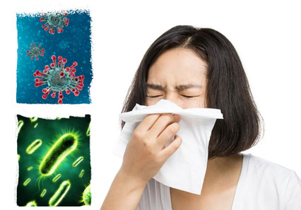 So sánh vi khuẩn khác virus ở điểm nào nhận dạng và cách điều trị