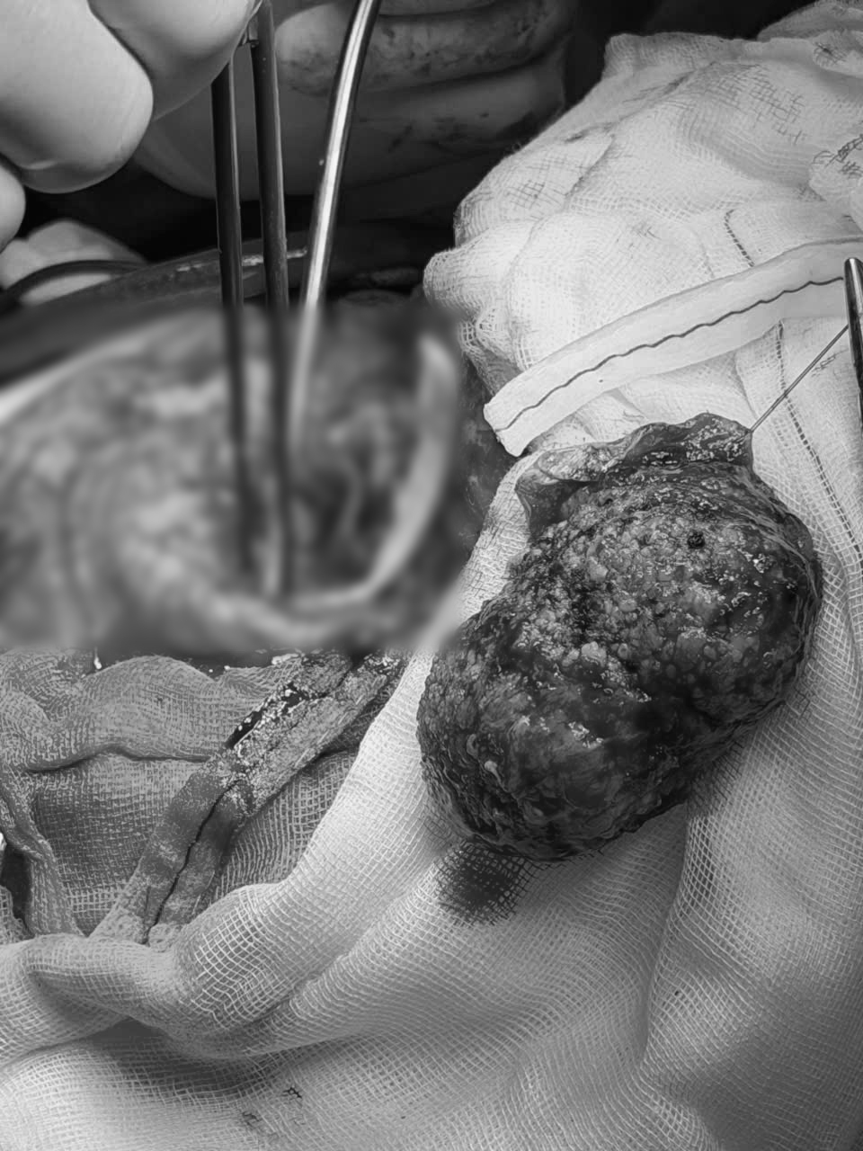 z7243383925096 6bf0ad27d4de1ae74c6b3958c5c15bf8 jpg1