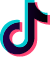 icon tiktok